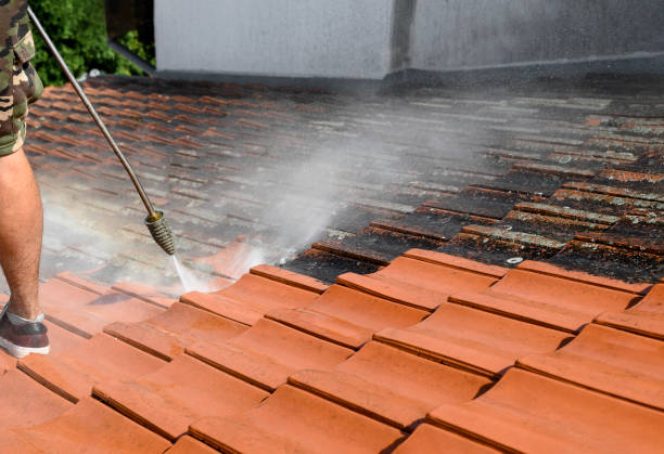 Best Affordable Power Washing  in Brewster Hill, NY